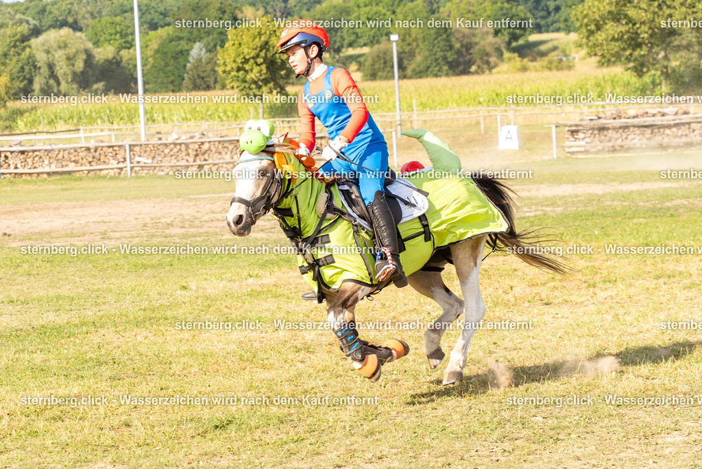 2026-08-09_16-13-47_WBO_Pulsnitz | sternberg.click - Realisiert mit Pictrs.com