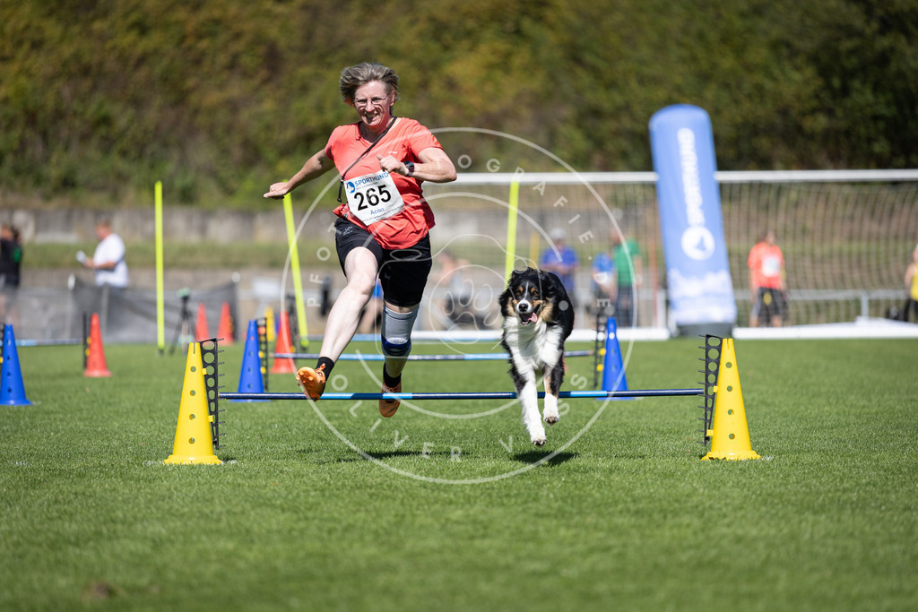 Pfotenfotografie_DV3A6661 | Hundefotografie, Tierfotograf, Pfotenfotografie, Fotoshooting Hund, Hunde Portrait, Hundesport, Hundeportraits, Heideshooting, Hunde, Sportfotograf, Hundefotograf, Turnierhundsport, THS,  - Realisiert mit Pictrs.com