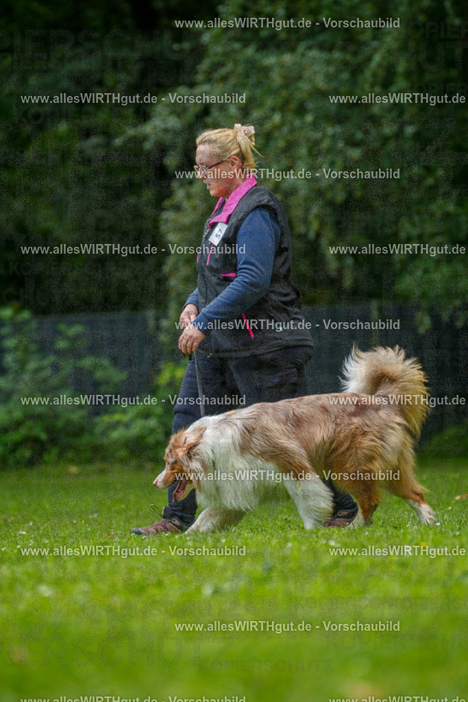 @allesWIRTHgut_Tierfotografie - www.allesWIRTHgut.de - 7R501210 | Professionelle Tierfotografie in Mönchengladbach von Daniel Wirth (allesWIRTHgut). Liebevolle & natürliche Bilder von Hunden & Katzen für unvergessliche Erinnerungen.