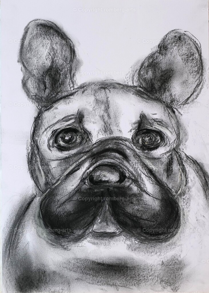 L1020691 | romberg-arts, romberg-arts.de, www.romberg-arts.de, Foto_Online_Shop, Julia Fuhrmann, Köln, Fotos, Fotografie, Fotokunst, Kunstdrucke, Naturfotos, Aktfotos, Nacktfotos, schwarz_weiß_Fotos, Blumenfotos, Blumen, Tiere, Beton, Korrosion, Lächeln, Drucke