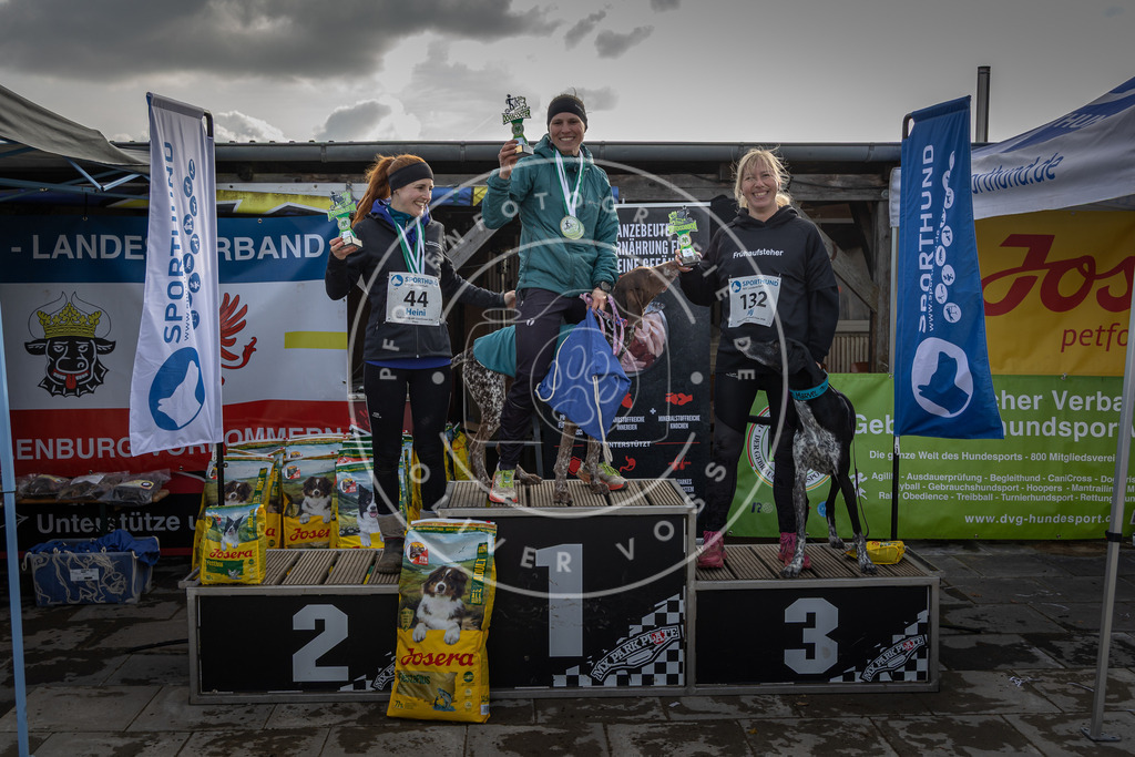 0L8A9237 | Hundefotografie, Tierfotograf, Pfotenfotografie, Fotoshooting Hund, Hunde Portrait, Hundesport, Hundeportraits, Heideshooting, Hunde, Sportfotograf, Hundefotograf, Turnierhundsport, THS,  - Realisiert mit Pictrs.com