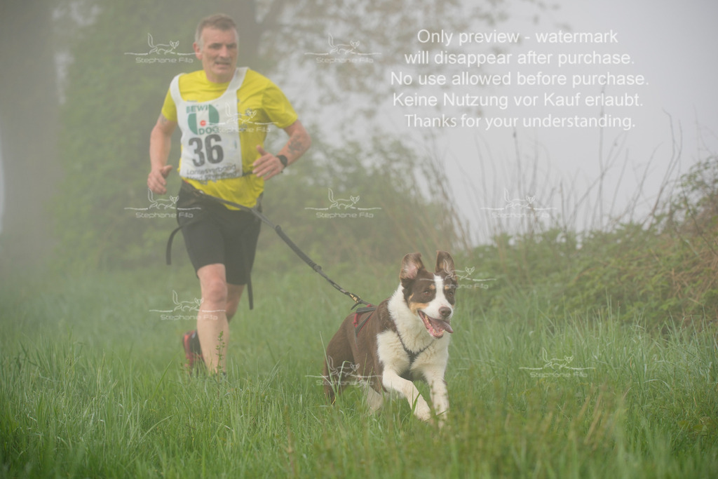 SA_GL2-198 | stephaniefillaphotographie - Realisiert mit Pictrs.com