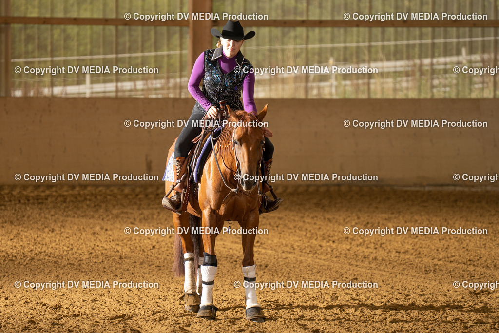 LAU01372 | dv-media-shop - Realisiert mit Pictrs.com