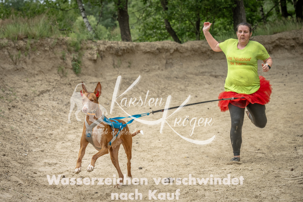 1521_ZZ96568 | kk-dogfotos