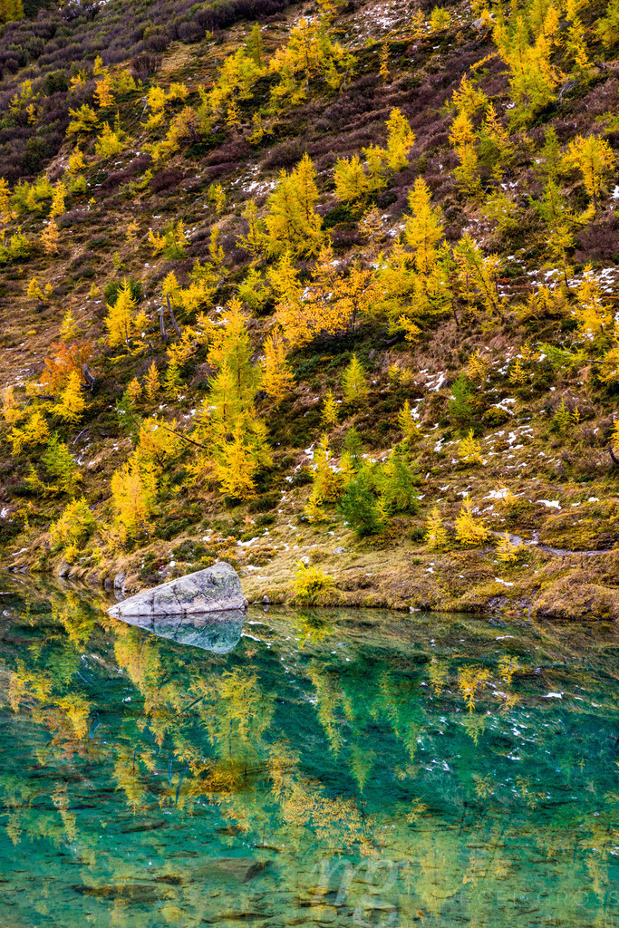 reflections of autumn | wonderful scenery with Larches and a Lake in Lötschental, Valais - Realisiert mit Pictrs.com