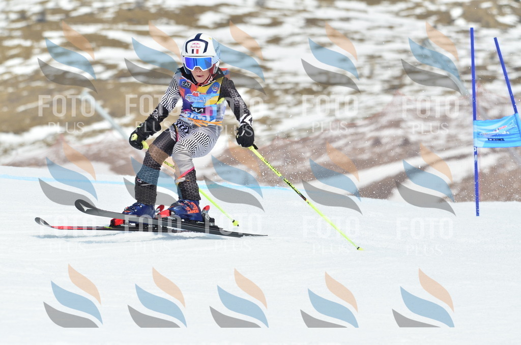 _ELE2592 | holidayphoto