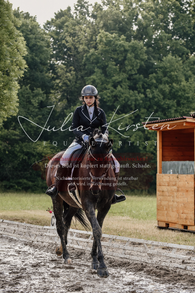 DSC_8562 | Pferde- und Turnierfotografie in Westsachsen. Pferdeportraits, Auftragszeichnungen und intuitive Kunst.
