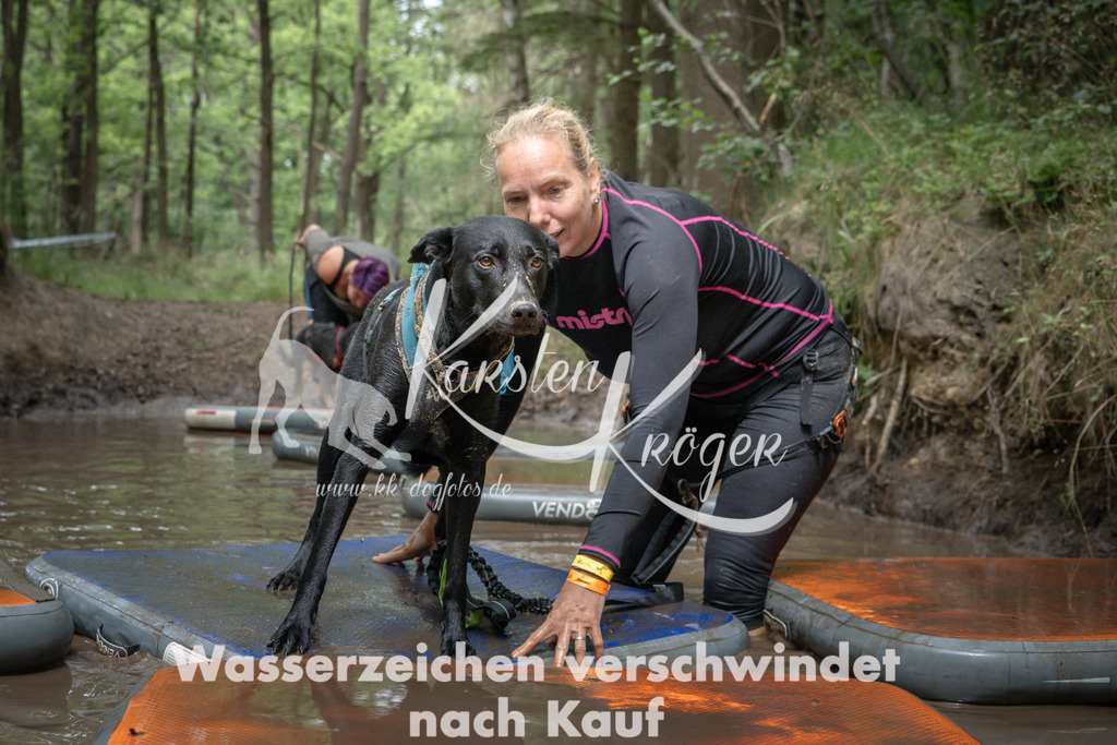 1250_ZZ91180 | kk-dogfotos