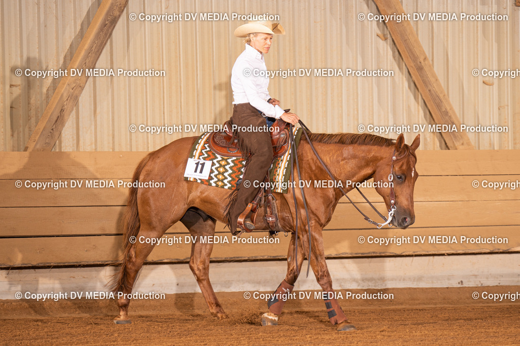 NID01177 | dv-media-shop - Realisiert mit Pictrs.com