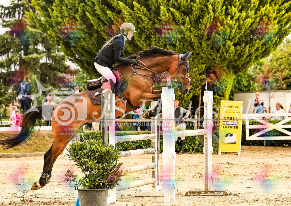 20250831_Springprfg. Kl.L m.St. 115cm 3.WP KM LK 4-102 | JS-PHOTOSTYLE