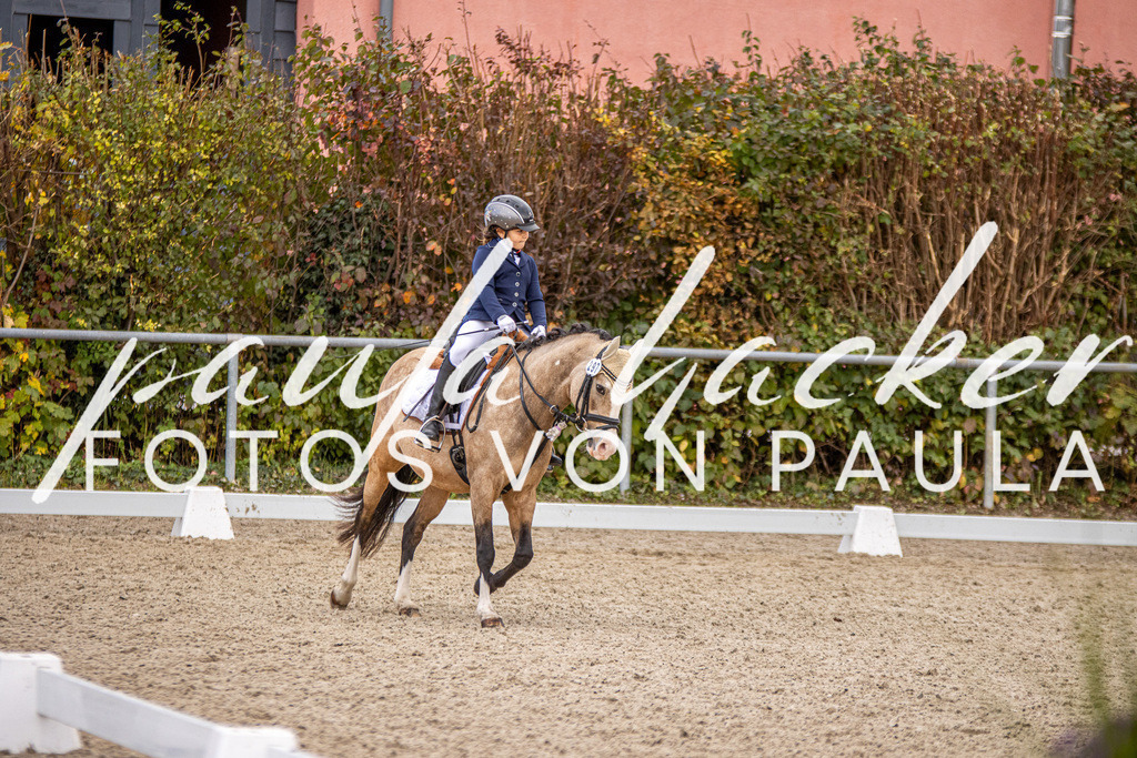 IMG_3585 | Erleben Sie dynamische Sport- und emotionale Tierfotografie in Süddeutschland mit Fotos von Paula. Spezialisiert auf Pferde- und Hundefotografie sowie Sportevents. Kontaktieren Sie mich für einzigartige und ausdrucksstarke Bilder Ihrer besonderen Momente. - Realisiert mit Pictrs.com