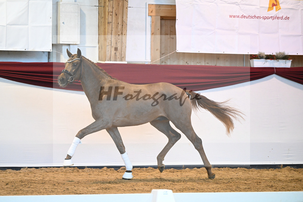 Kat-Nr. 7 v. Bon Courage_Plank_66220090 | hf-fotografie - Realisiert mit Pictrs.com