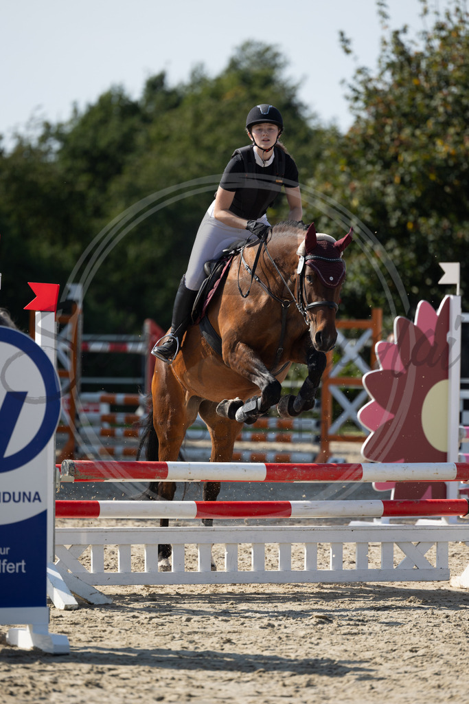 994A1830 | sabrinanicolaifotografie - Realisiert mit Pictrs.com