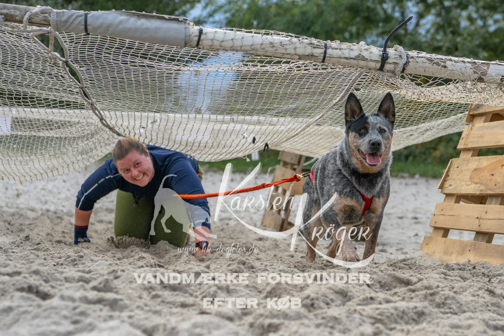 1134_ZZ97826 | kk-dogfotos