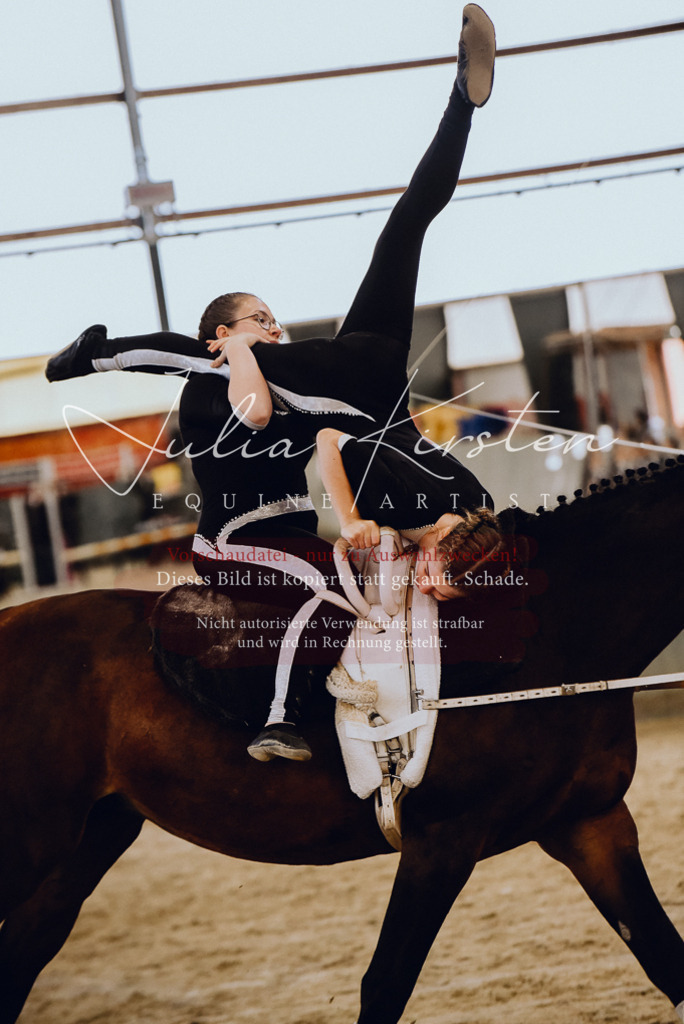 DSC_6908 | Pferde- und Turnierfotografie in Westsachsen. Pferdeportraits, Auftragszeichnungen und intuitive Kunst.