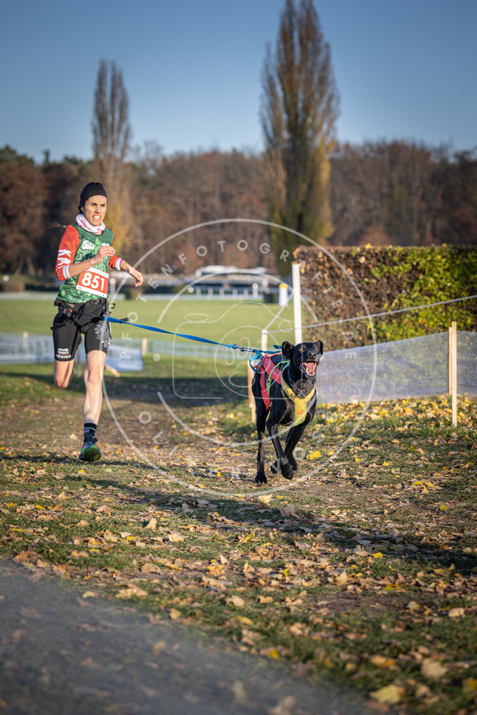 CaniXpix_DV3A3882 | Hundefotografie, Tierfotograf, Pfotenfotografie, Fotoshooting Hund, Hunde Portrait, Hundesport, Hundeportraits, Heideshooting, Hunde, Sportfotograf, Hundefotograf, Turnierhundsport, THS,  - Realisiert mit Pictrs.com