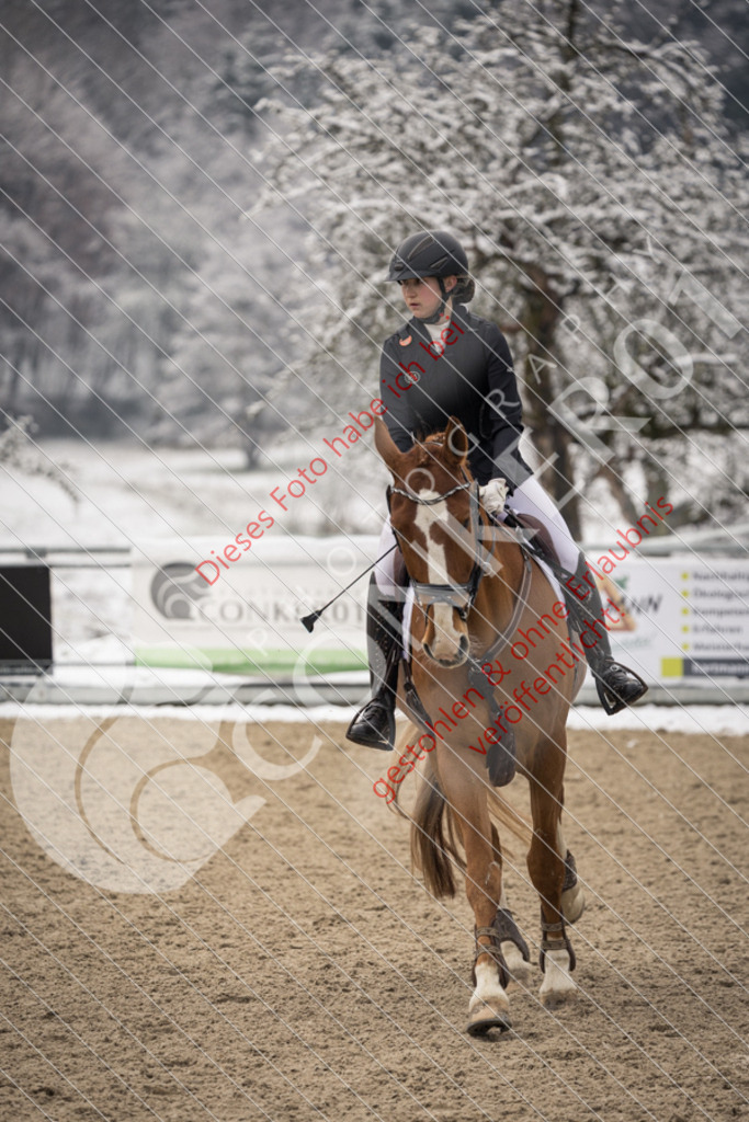 CON_8098 | Sport-, Event- und Tierfotos in Profiqualität. Einfach auswählen, bestellen und herunterladen. Dein Moment – perfekt festgehalten.