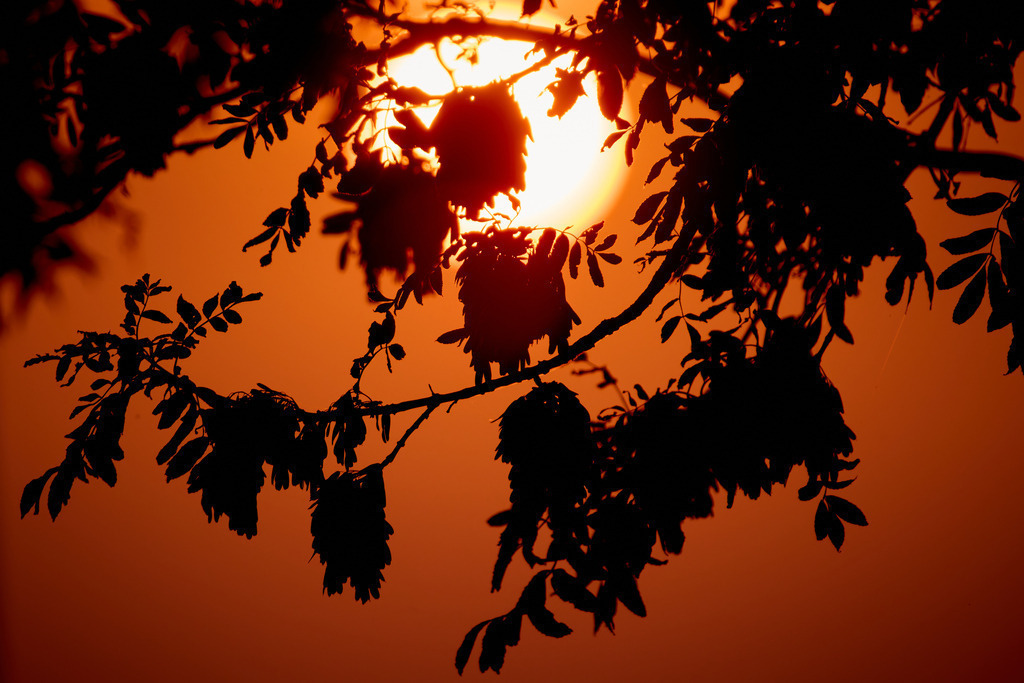 Abendsonne | kleinen-fotografie