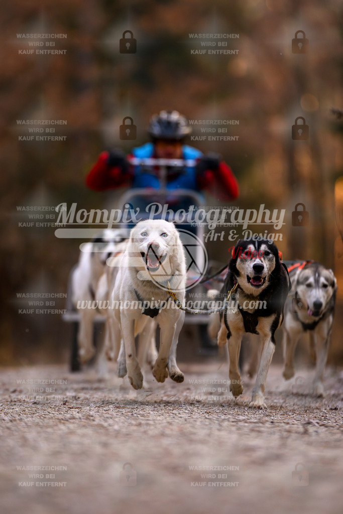 MompixPhotography_DM_AKDM_SO_2025_Wagen-26 | PayLife