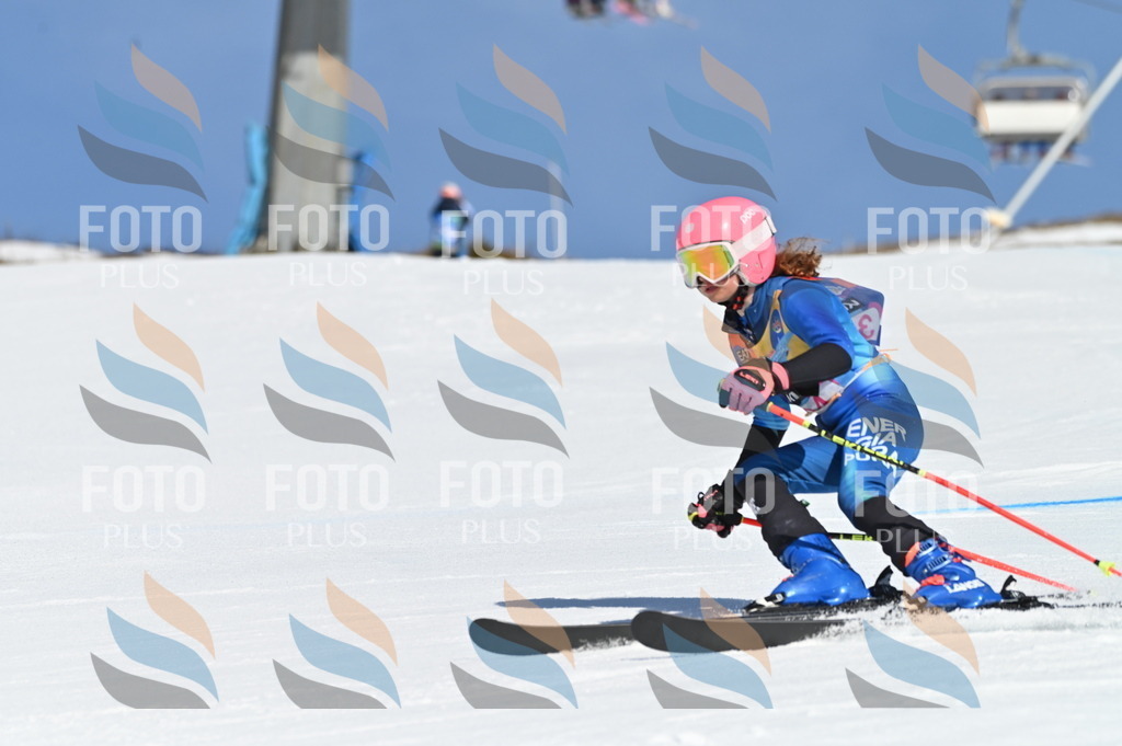 BGV_8233 | holidayphoto