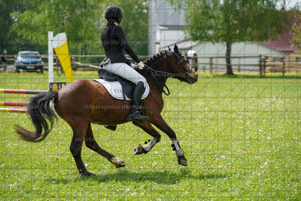 20240509-FAH02352 | Turnierbilder der Turnierfotografen Bayern, Pferdesport Fotografie, Reitsportbilder, Turnier Landberg am Lech, Turnierbilder bayern, Fotoagentur Herrmann