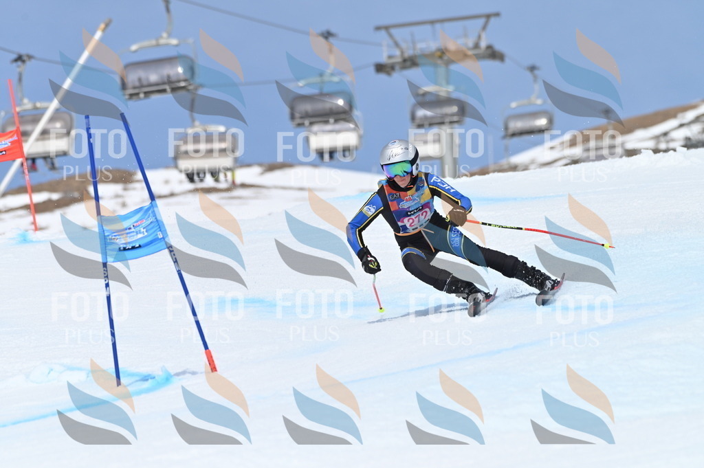 BGV_2290 | holidayphoto