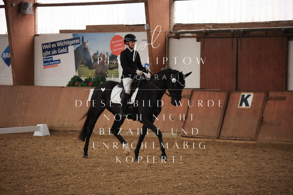 IMGT7050 | pl-fotografie