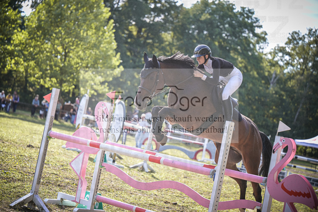 DOS_0545 | Entdecke hochwertige Reitturnierfotos von Foto Oger. Professionell, emotional und authentisch – jetzt Lieblingsmomente im Shop bestellen.Deutschlandweite Turnierfotografie. - Realisiert mit Pictrs.com