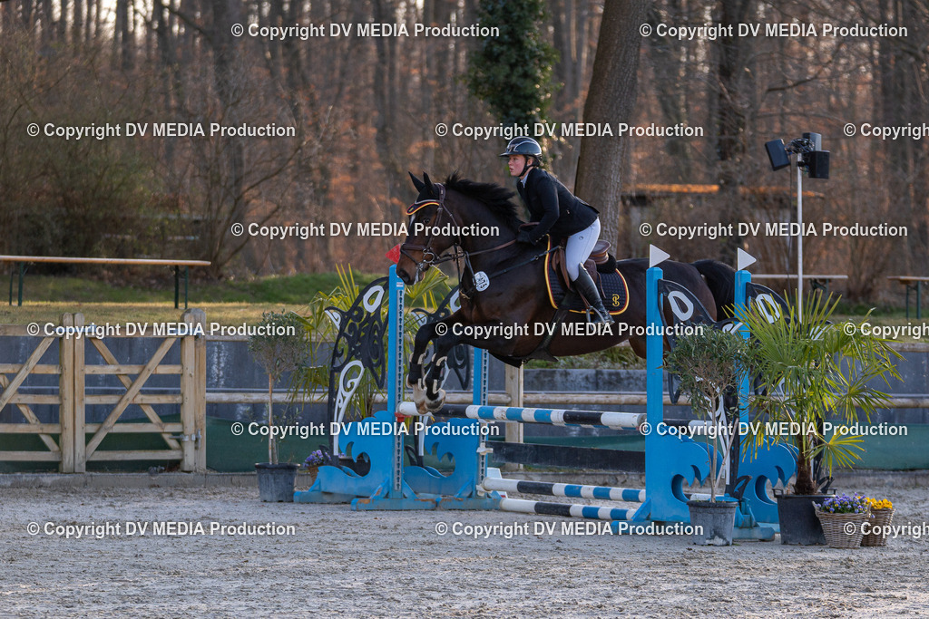 DSC-219 | dv-media-shop - Realisiert mit Pictrs.com