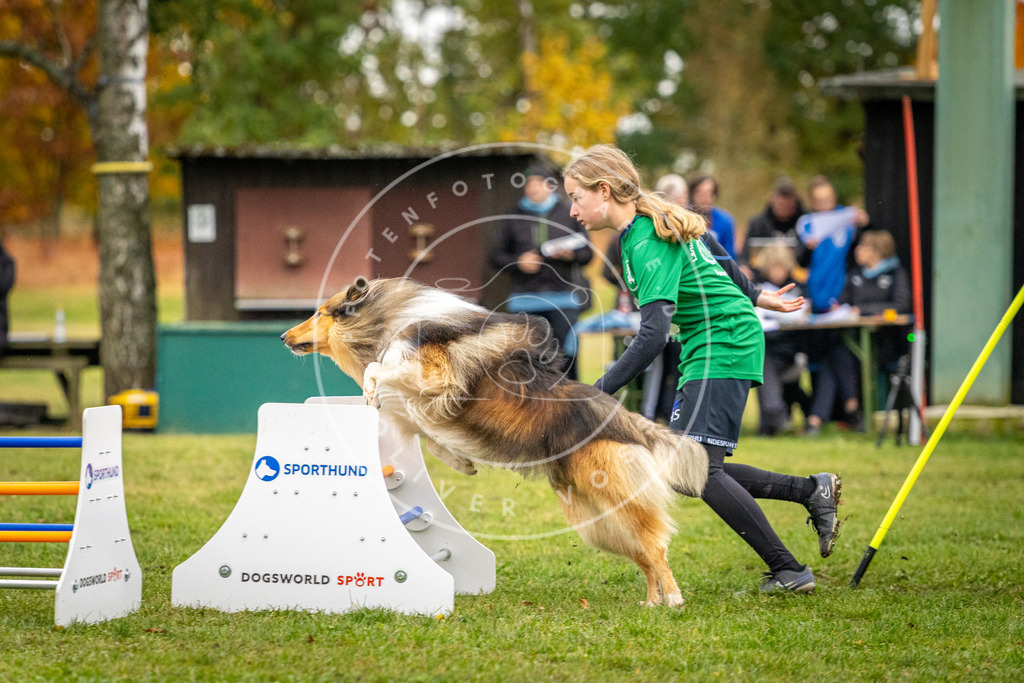 Pfotenfotografie_DV3A0374 | Hundefotografie, Tierfotograf, Pfotenfotografie, Fotoshooting Hund, Hunde Portrait, Hundesport, Hundeportraits, Heideshooting, Hunde, Sportfotograf, Hundefotograf, Turnierhundsport, THS,  - Realisiert mit Pictrs.com