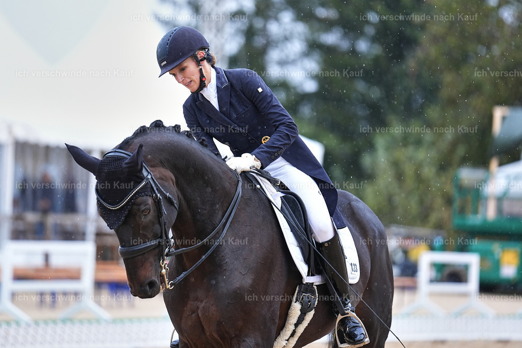 07-123-DRESSUR  S___  -Marixx-5119 | working equitationturnier fotograf videograf stoibphotography marixx film working equitation deutschland reitsport turnierfotografie eventfotografie equestrian events