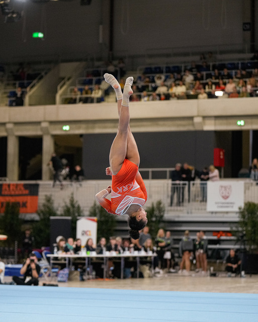 DTL Finale der Deutschen Turnliga (DTL) 2025 in Heidelberg | DTL Finale der Deutschen Turnliga (DTL) 2025 in Heidelberg Datum: 20251129Ort: Heidelberg(DE) - SNP Dome HeidelbergFotograf: Christian Habel
