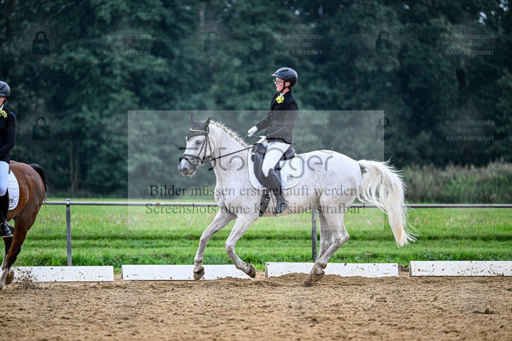 Reitturnier Hasbergen | Entdecke hochwertige Reitturnierfotos von Foto Oger. Professionell, emotional und authentisch – jetzt Lieblingsmomente im Shop bestellen. - Realisiert mit Pictrs.com