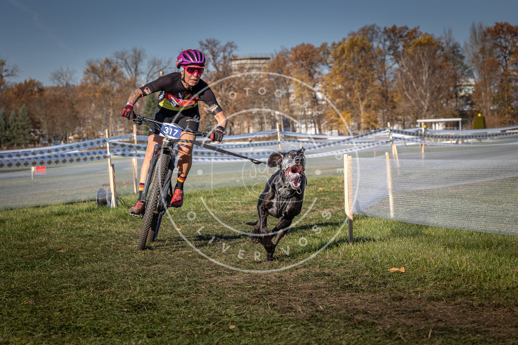 CaniXpix_0L8A5654 | Hundefotografie, Tierfotograf, Pfotenfotografie, Fotoshooting Hund, Hunde Portrait, Hundesport, Hundeportraits, Heideshooting, Hunde, Sportfotograf, Hundefotograf, Turnierhundsport, THS,  - Realisiert mit Pictrs.com