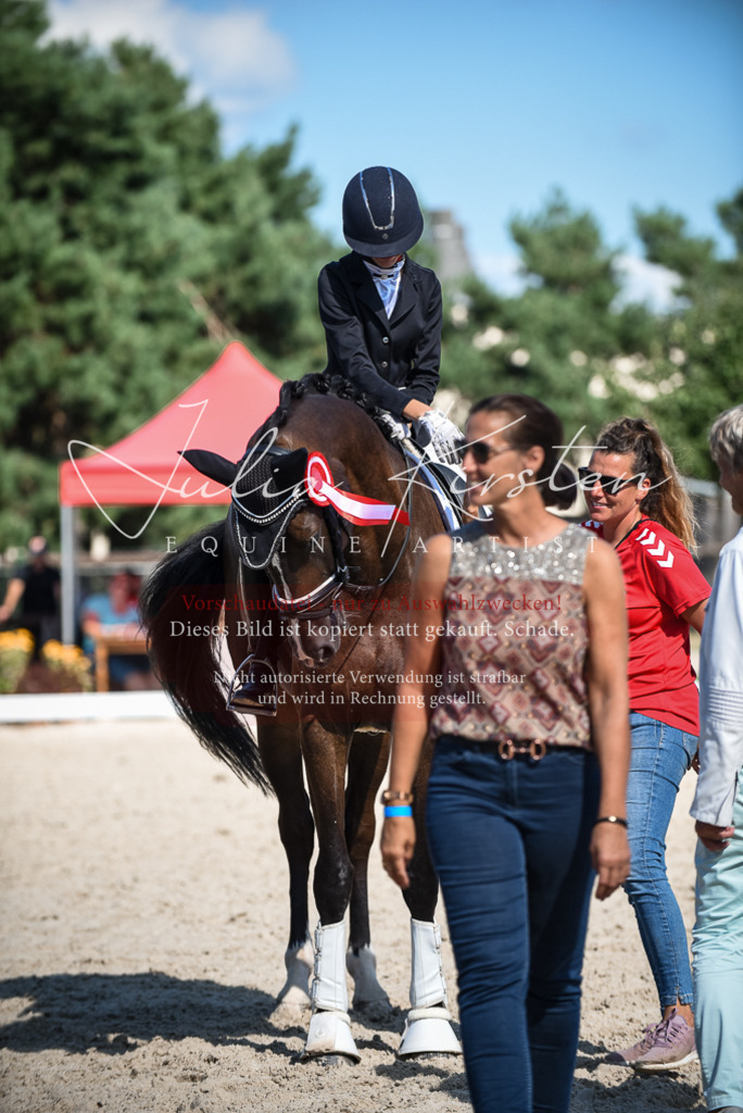 DSC_9741 | Pferde- und Turnierfotografie in Westsachsen. Pferdeportraits, Auftragszeichnungen und intuitive Kunst.