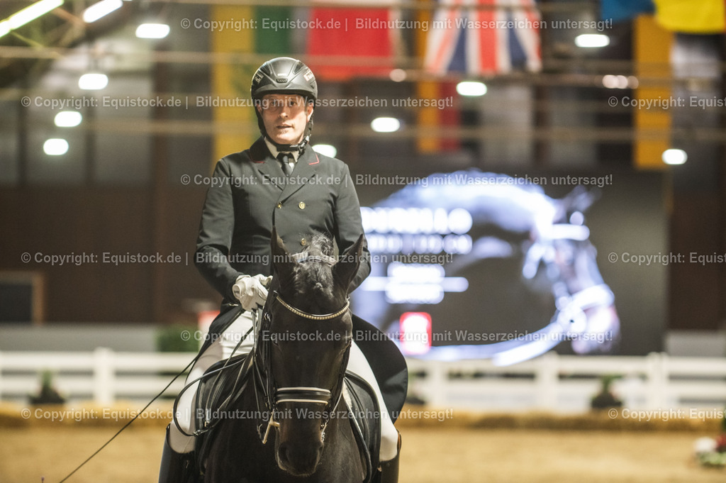 20240302_Hengstvorstellung_Marbach_TOMsPiC_1490 | equistock