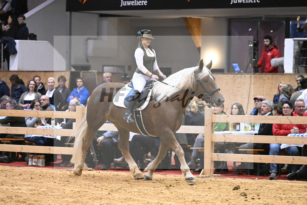 Schauprogramm_54222561 | hf-fotografie - Realisiert mit Pictrs.com