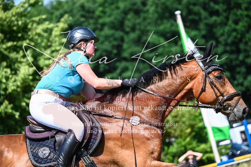DSC_1516 | Pferde- und Turnierfotografie in Westsachsen. Pferdeportraits, Auftragszeichnungen und intuitive Kunst.