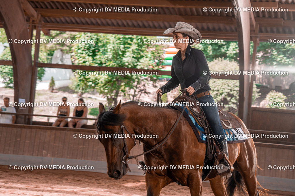 NE100563 | dv-media-shop - Realisiert mit Pictrs.com