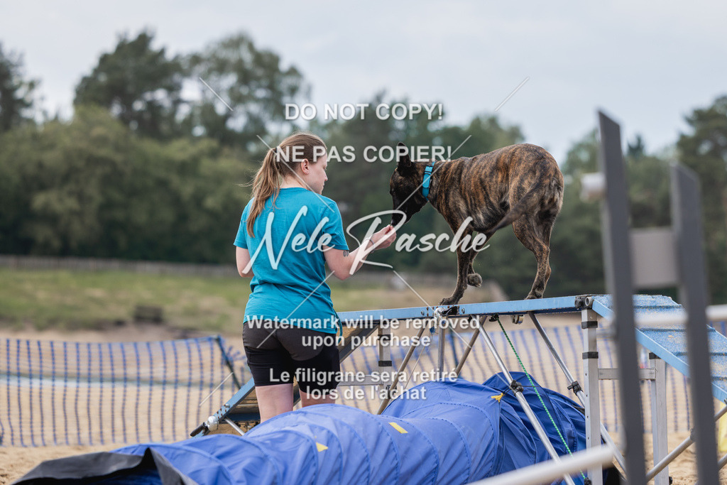 nelerasche_BuHu2026_So1530-Ende_100 | nelerasche