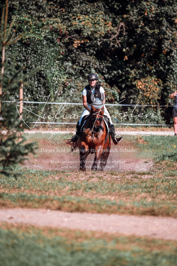 DSC_1005 | Pferde- und Turnierfotografie in Westsachsen. Pferdeportraits, Auftragszeichnungen und intuitive Kunst.