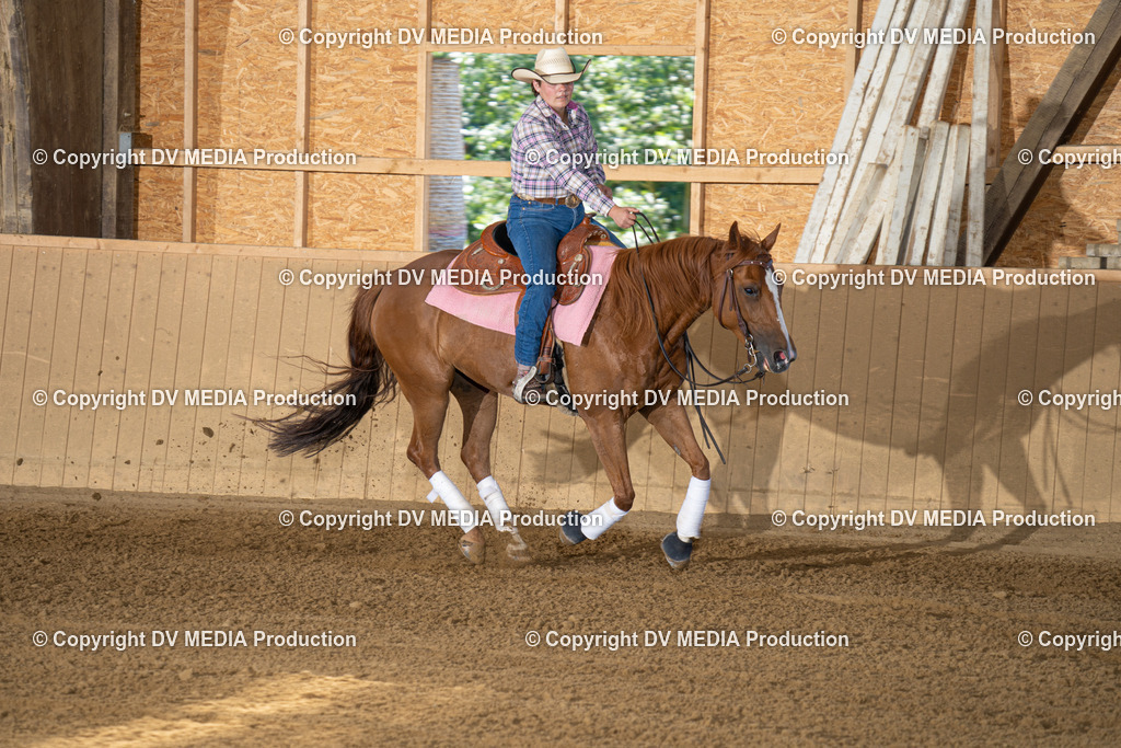 DSC00123 | dv-media-shop - Realisiert mit Pictrs.com