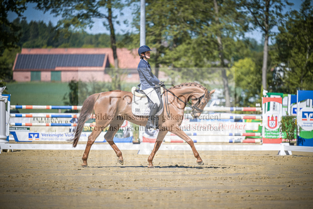 DOS_5565 | Entdecke hochwertige Reitturnierfotos von Foto Oger. Professionell, emotional und authentisch – jetzt Lieblingsmomente im Shop bestellen.Deutschlandweite Turnierfotografie. - Realisiert mit Pictrs.com