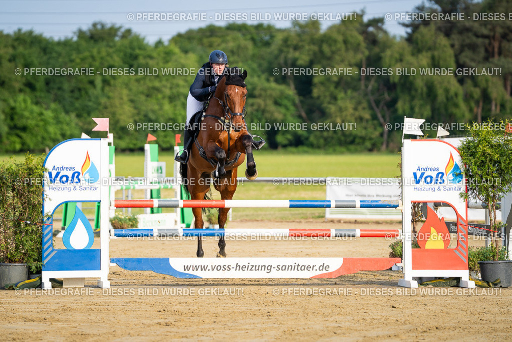 DSC02439 | Pferdegrafie