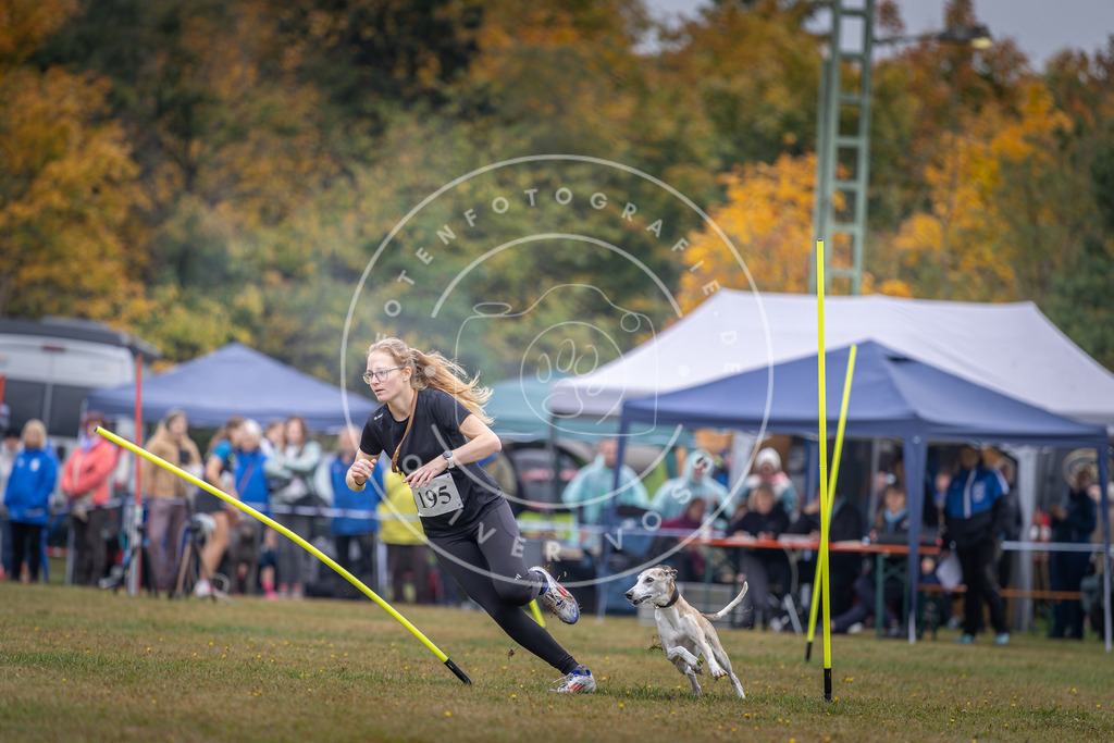 Pfotenfotografie_DV3A1004 | Hundefotografie, Tierfotograf, Pfotenfotografie, Fotoshooting Hund, Hunde Portrait, Hundesport, Hundeportraits, Heideshooting, Hunde, Sportfotograf, Hundefotograf, Turnierhundsport, THS,  - Realisiert mit Pictrs.com