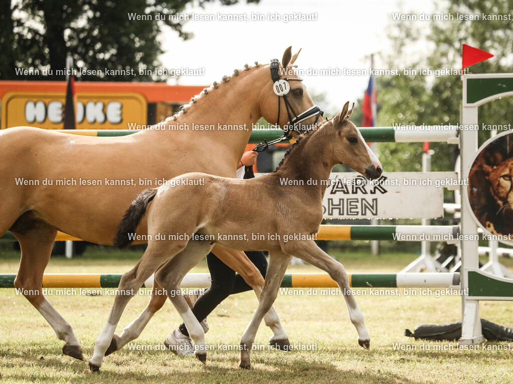 598A2252-2 | photographylinaismer - Realisiert mit Pictrs.com