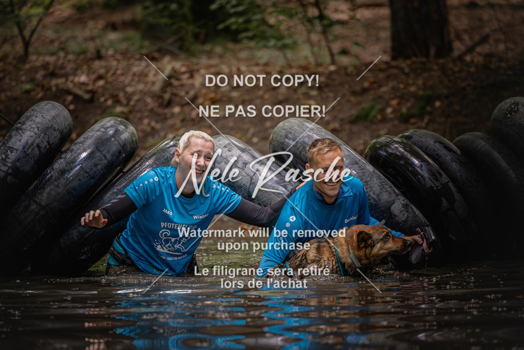 nelerasche_SaWingst1400-1500_528 | nelerasche