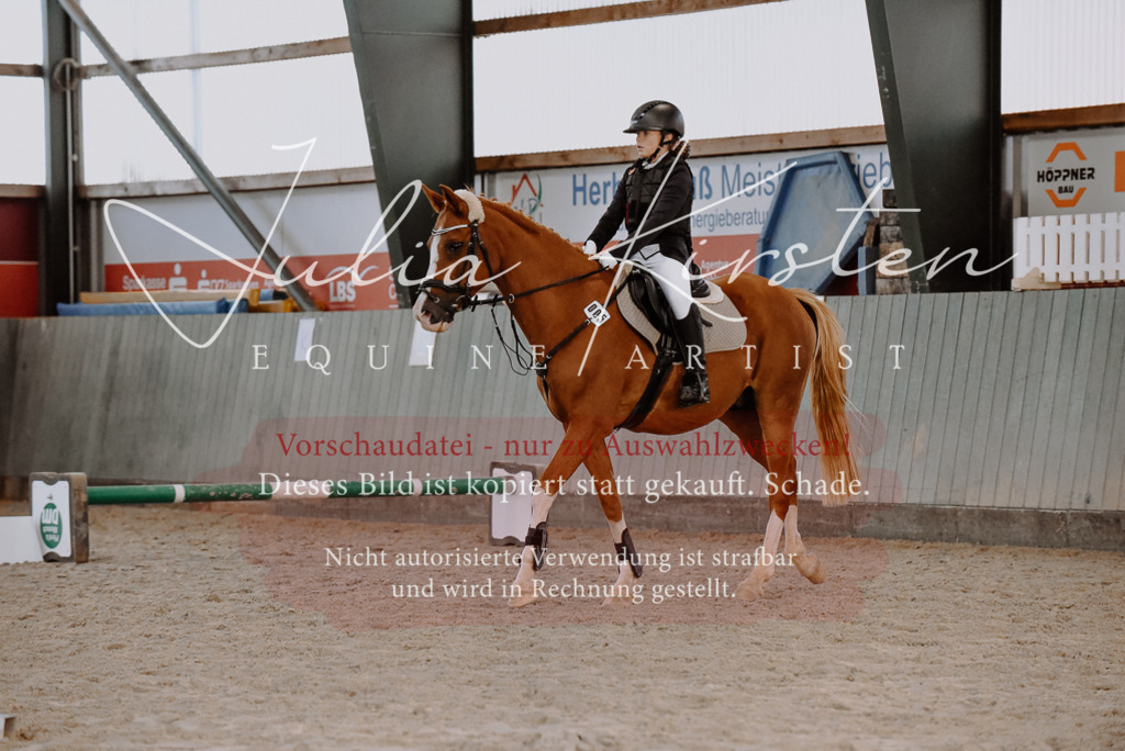 DSC_7458 | Pferde- und Turnierfotografie in Westsachsen. Pferdeportraits, Auftragszeichnungen und intuitive Kunst.