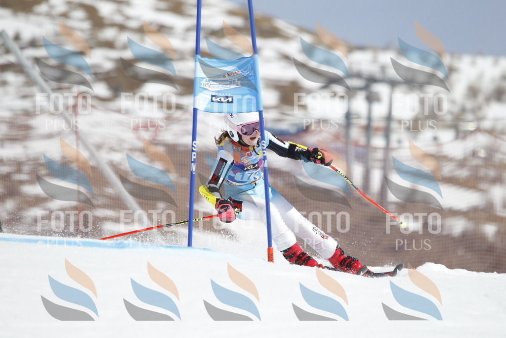 _U3G1593 | holidayphoto