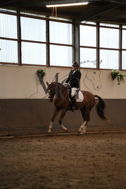DSC05810 | Pferdefotografie in Köln und Umgebung – emotionale Pferdeshootings, Turnierfotografie und besondere Momente zwischen Pferd und Mensch. - Realisiert mit Pictrs.com